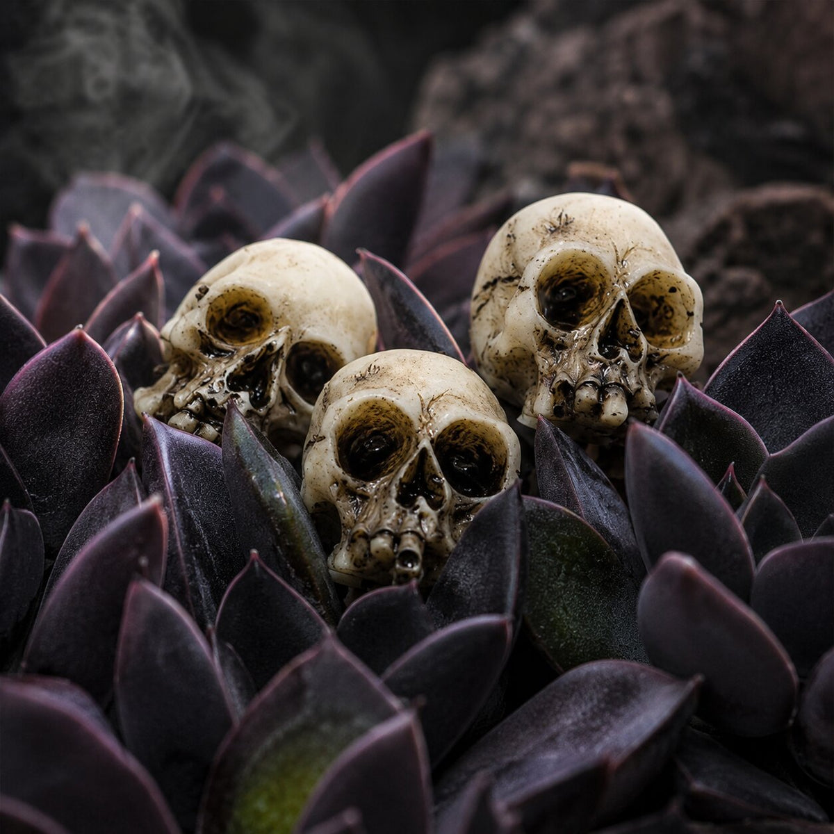 Aveloro Ossara Totenkopf-Deko als Tischarrangement