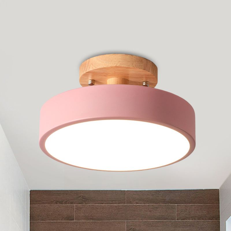 Aveloro Rosetta in Rosa