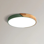 Aveloro Skandra LED-Deckenleuchte mit Holzdekor in Grün